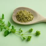 Die außergewöhnliche Kraft des Oregano-Tees